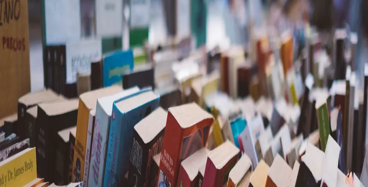 培训招生教育类网站模板(响应式) v1.4.26